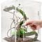 Тераріум Repti-Zoo Acrylic Terrarium 20x20x30см (PACR10)