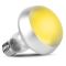 Лампа точкового обігріву Repti-Zoo Flat Type Heating Bulb 50W (C63050A)