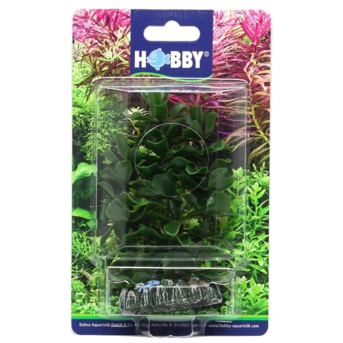Штучна рослина Hobby Bacopa 13см (51556)