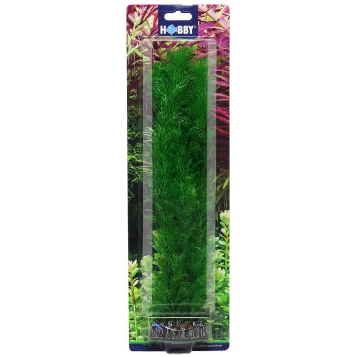 Штучна рослина Hobby Egeria 34см (41512)