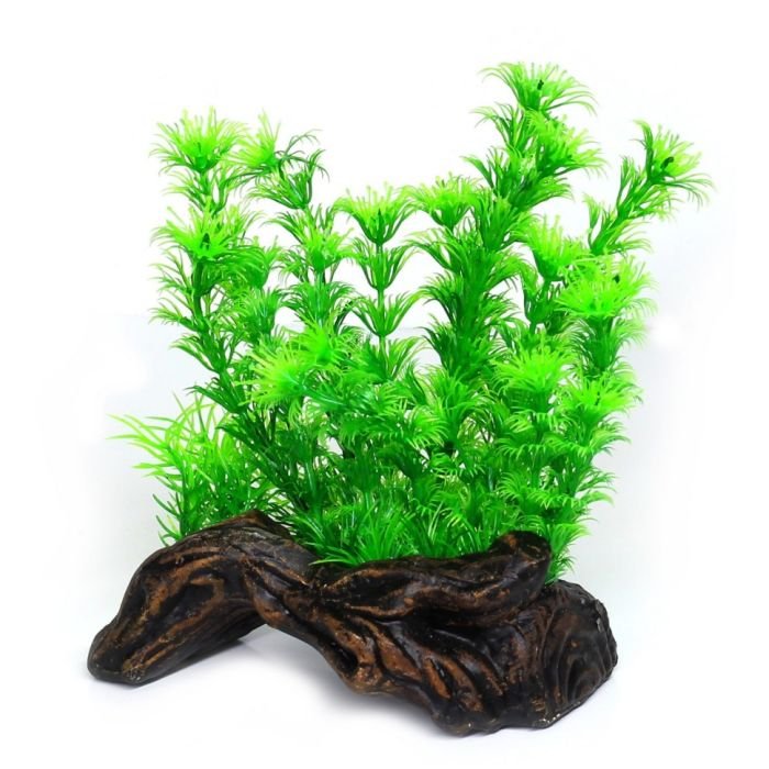 Штучна рослина Hobby Flora Root 3 S 17см (51597)