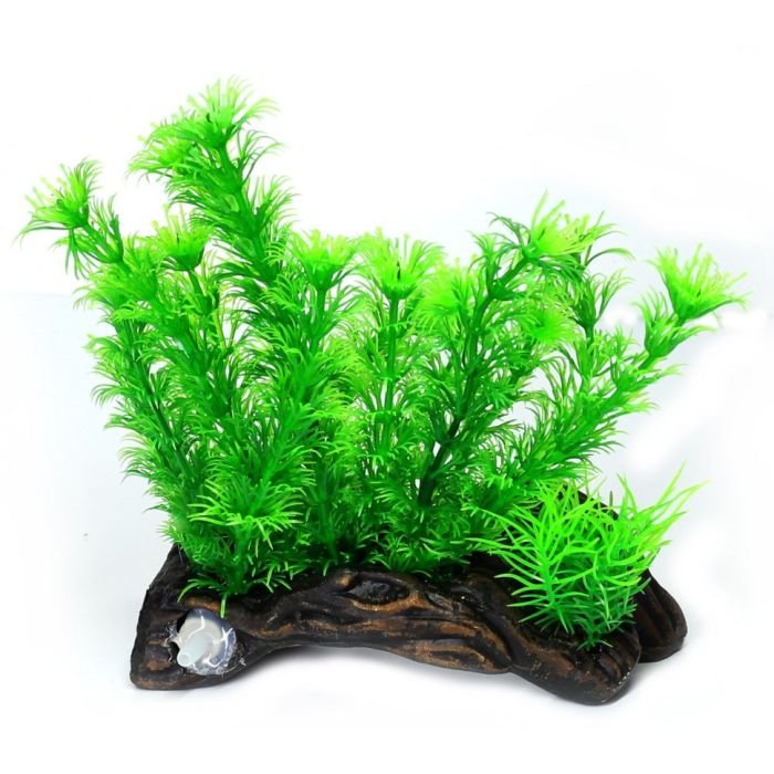 Штучна рослина Hobby Flora Root 3 S 17см (51597)
