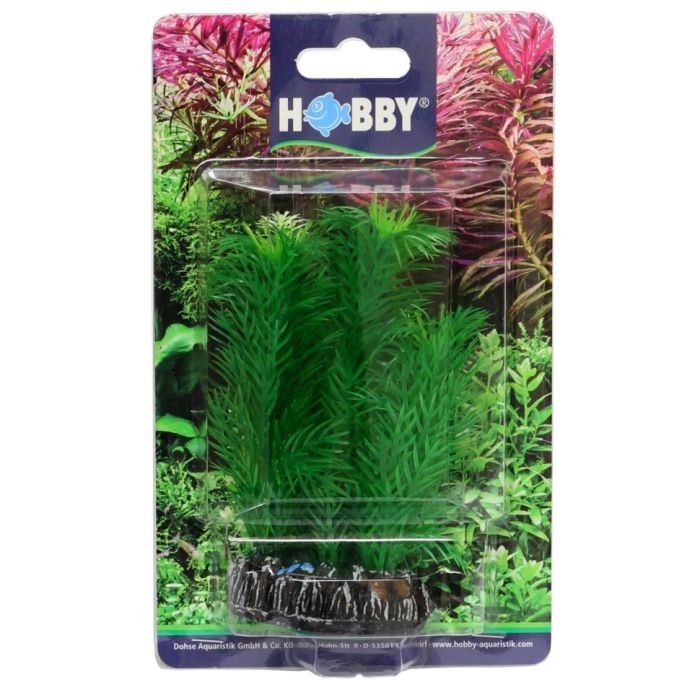 Штучна рослина Hobby Egeria 13см (41510)