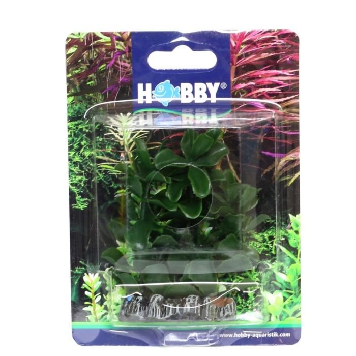 Штучна рослина Hobby Bacopa 7см (51555)