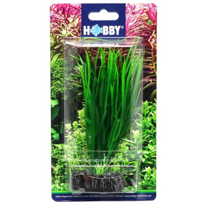 Штучна рослина Hobby Cyperus 16см (41500)