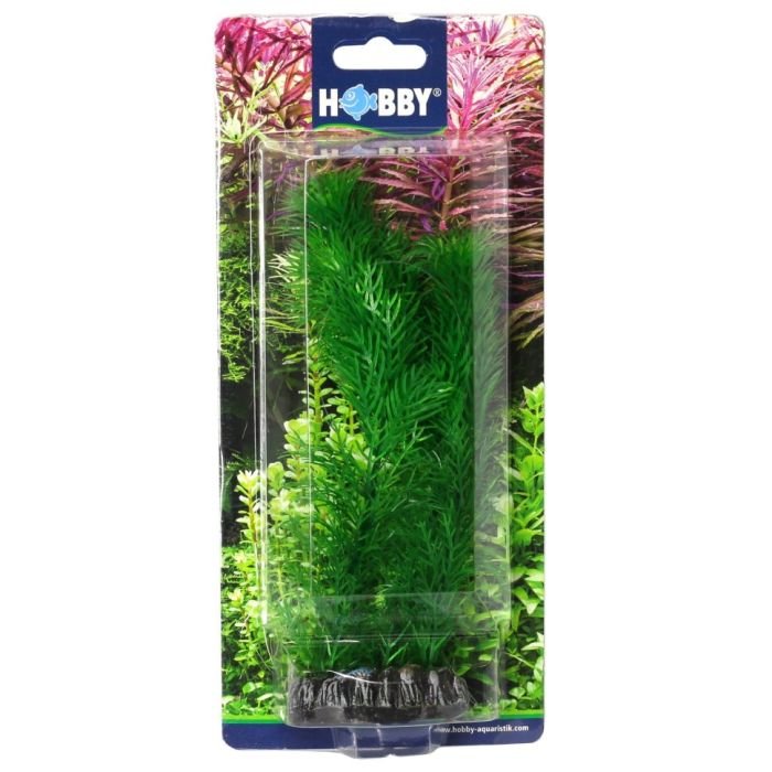 Штучна рослина Hobby Egeria 20см (41511)