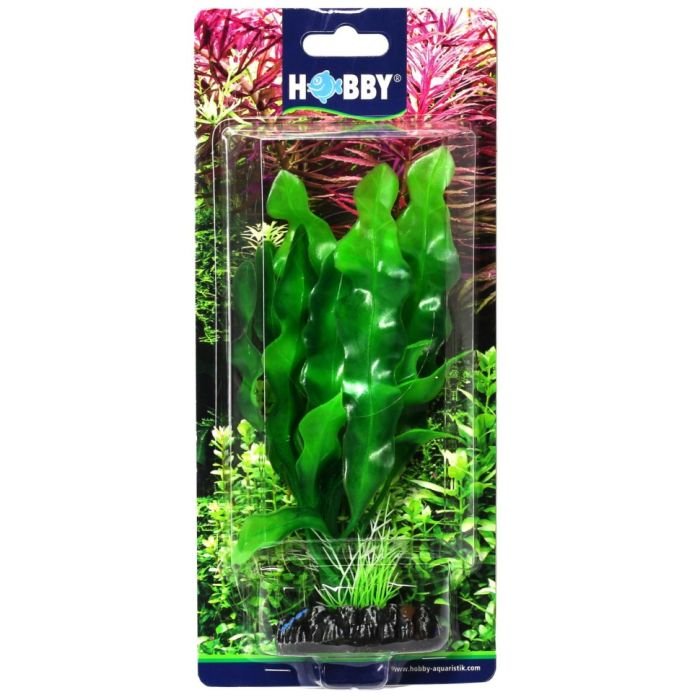 Штучна рослина Hobby Echinodrus 20см (41504)
