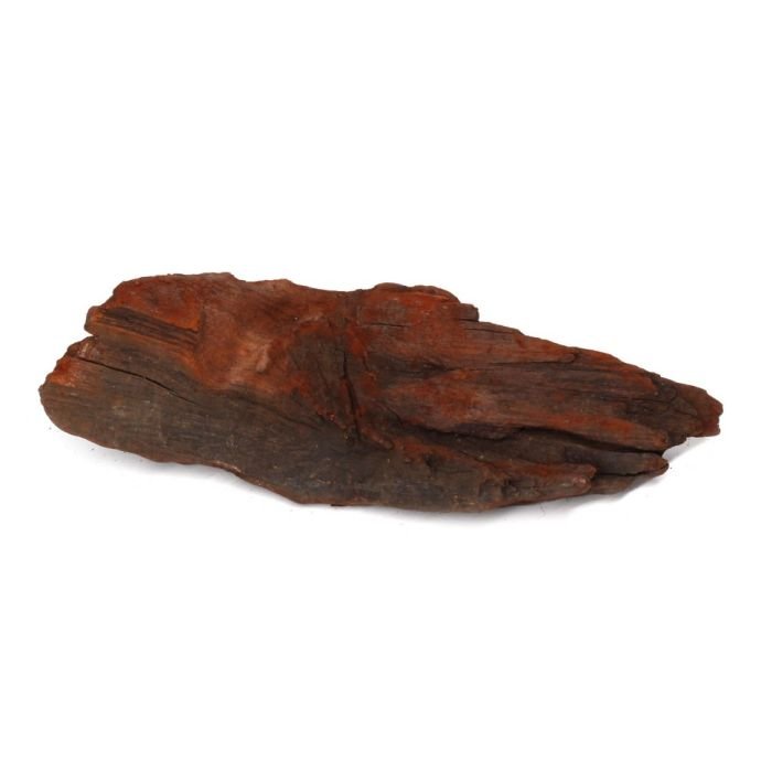 Коряга мангр Hobby Mangrove Wood S 15-25см (40641)