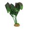 Штучна рослина 30 см Aqua Nova (CSP30001)