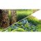 Задній фон Hobby Scaping Hill / Scaping Forest 120x50см (31032)