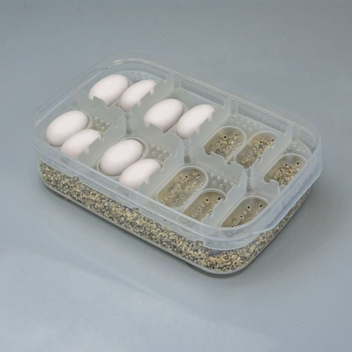 Інкубатор пластиковий на 14 яєць Hobby Easy Breeder Box (36317)