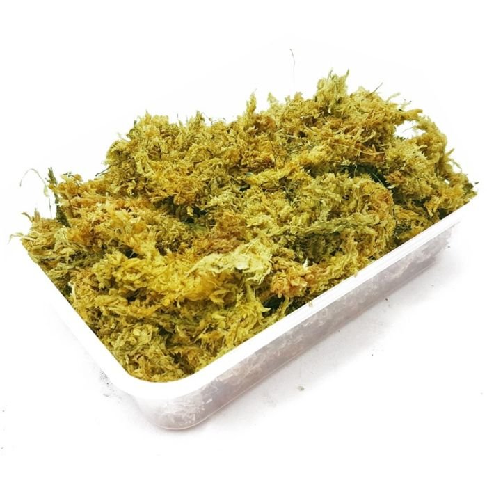 Сфагновий мох Repti-Zoo Sphagnum moss 100г. 4.5л. (SB031)