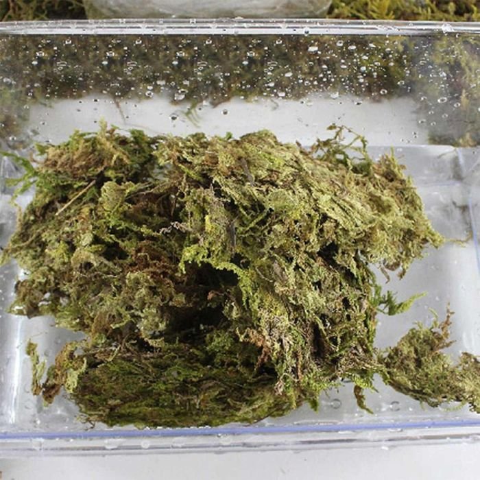 Сфагновий мох Repti-Zoo Sphagnum moss 100г. 4.5л. (SB031)