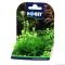 Штучна рослина Hobby Plant Pad 2 7x4,5x4,5см (51552)