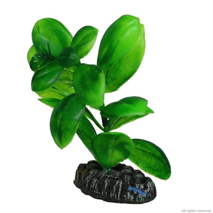 Штучна рослина Hobby Saururus 7см (51562)