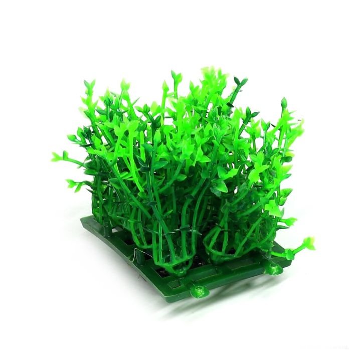 Штучна рослина Hobby Plant Pad 1 7x4,5x5,5см (51551)