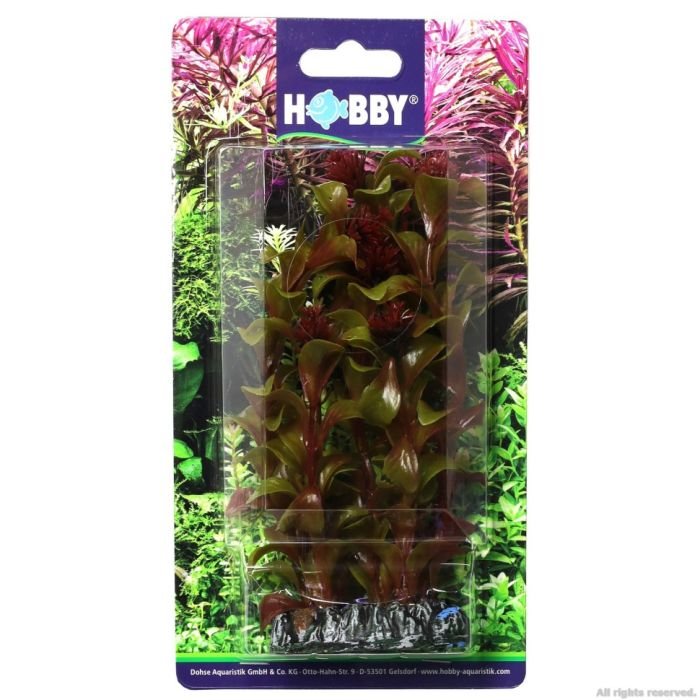 Штучна рослина Hobby Rotala 16см. (41514)