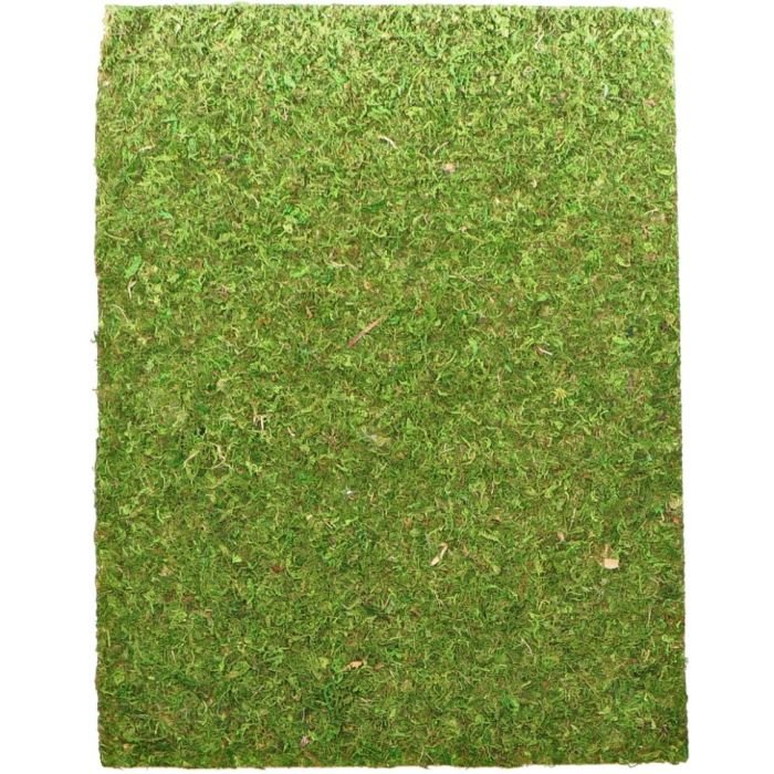 Фон моховий Repti-Zoo Natural Moss Back & Bottom 50x25см 2шт. (NCM5025)