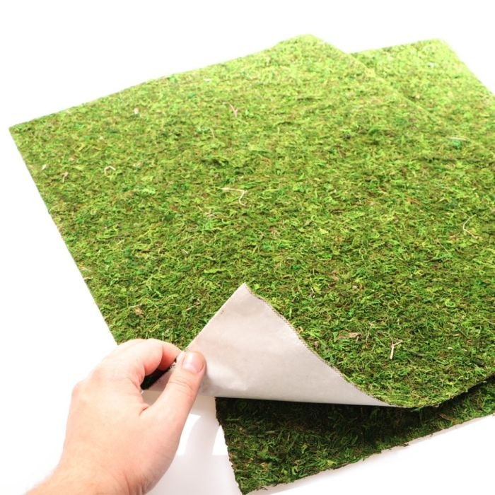 Фон моховий Repti-Zoo Natural Moss Back & Bottom 50x25см 2шт. (NCM5025)