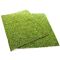 Фон моховий Repti-Zoo Natural Moss Back & Bottom 50x25см 2шт. (NCM5025)