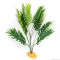 Штучна рослина пальма Hobby Palm 60x40x55см (37001)