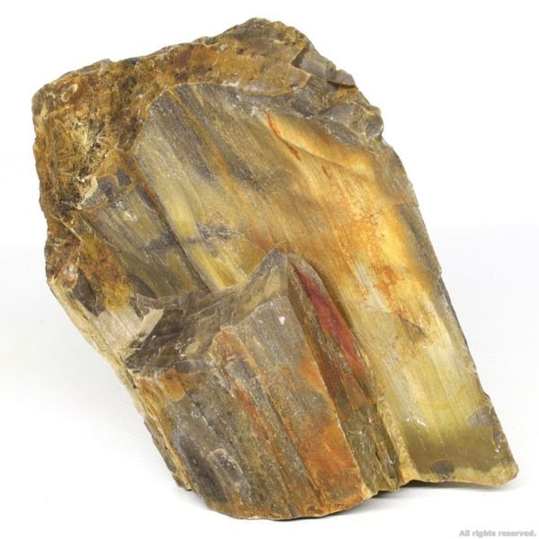 Декоративний природній камімь Hobby Petrified Wood S 0.3-1.0кг (40686)