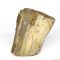 Декоративний природній камімь Hobby Petrified Wood S 0.3-1.0кг (40686)