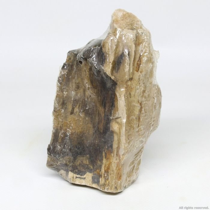 Декоративний природній камімь Hobby Petrified Wood S 0.3-1.0кг (40686)