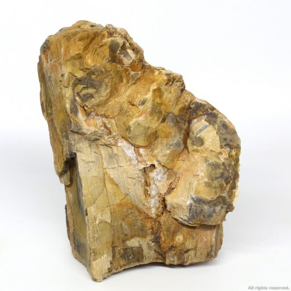Декоративний природній камімь Hobby Petrified Wood M 1-2.2кг (40687)