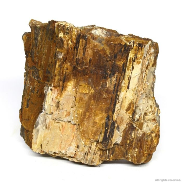 Декоративний природній камімь Hobby Petrified Wood L 2.2-4кг (40688)