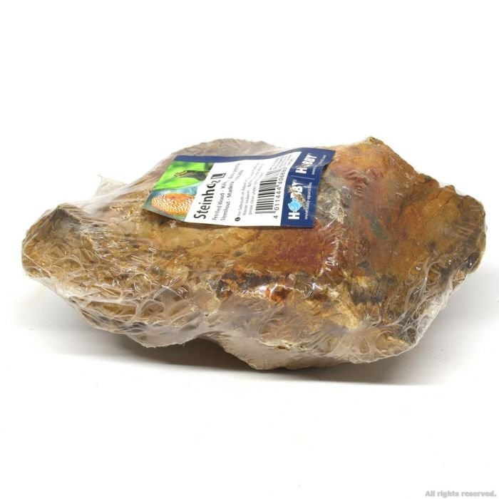 Декоративний природній камімь Hobby Petrified Wood L 2.2-4кг (40688)