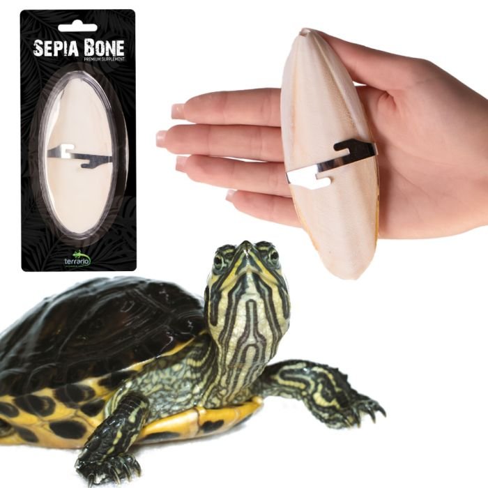 Сепія для черепах, природний вапняк для рептилій Terrario Sepia Bone 10-15см