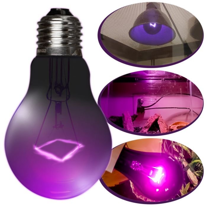 Нічна лампа з підігрівом Repti-Zoo Night Heat Bulb 50W (MHL50)
