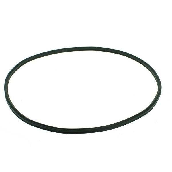 Ущільнювальна прокладка для Eheim Professionel 1/2 350/600 (7343150)