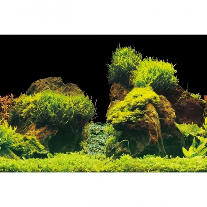 Акваріумний задній фон Aqua Nova Скали/Рослини 100x50см (ROCK/PLANTS L)