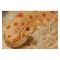 Субстрат з тополі 2.4л Repti-Zoo Aspen Snake Bedding (SB001)