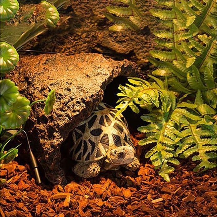 Сосновая кора Repti-Zoo Pine Bark 4л (SB014)