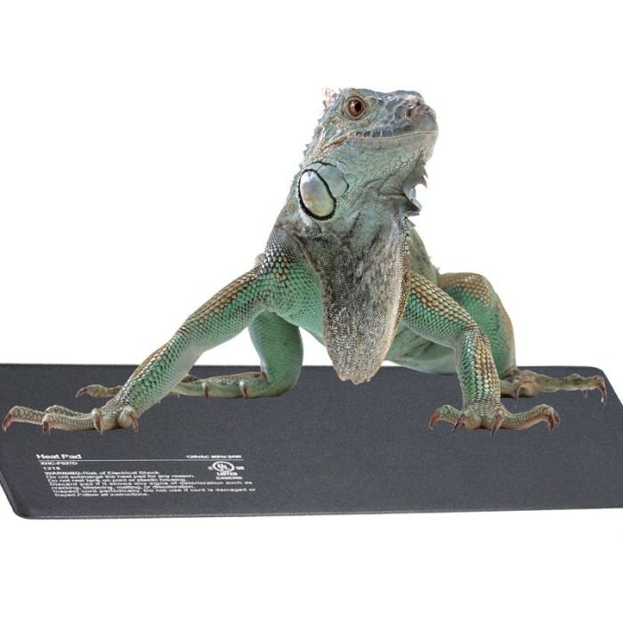 Нагрівальний мат водонепроникний Terrario Repti Pad PVC 40W 40x60см (repti-pad-pvc-40w)