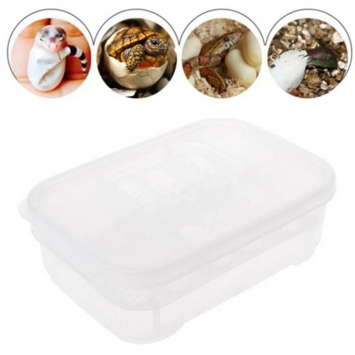 Інкубатор пластиковий на 12 яєць Terrario EggIncubator (Terrario-eggincubator)