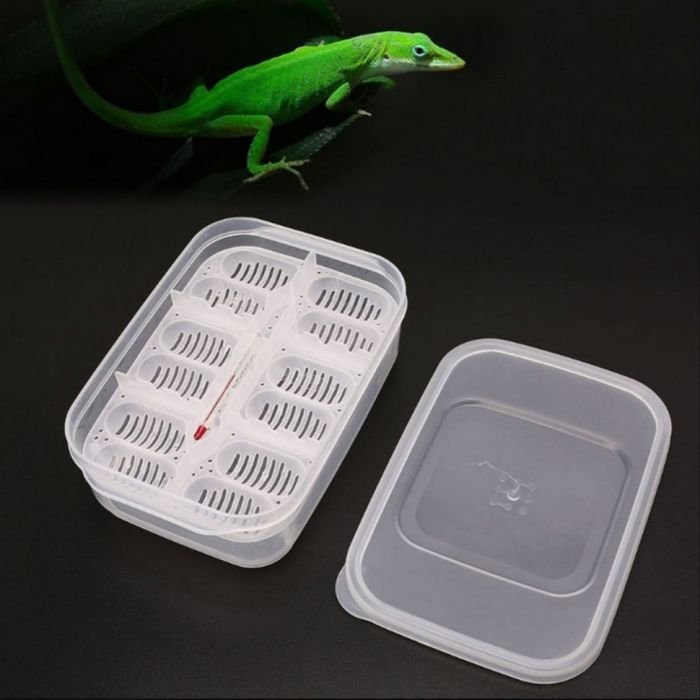 Інкубатор пластиковий на 12 яєць Terrario EggIncubator (Terrario-eggincubator)