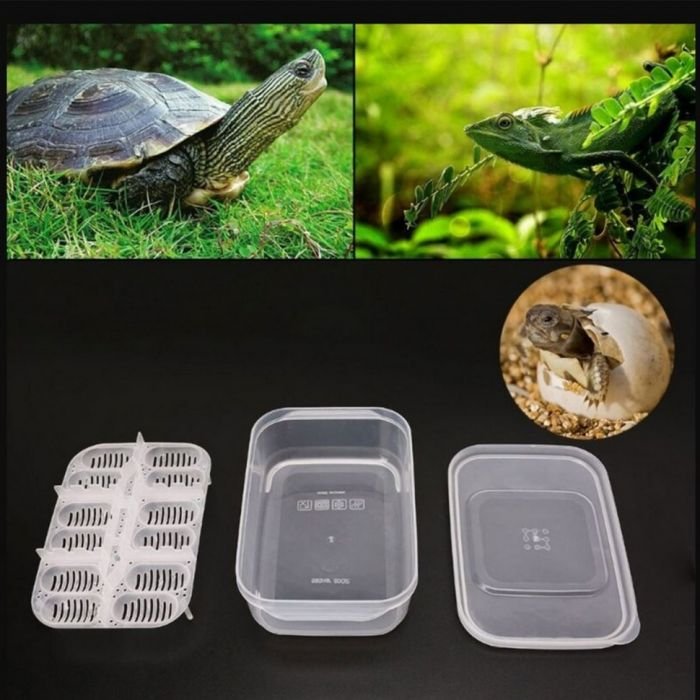 Інкубатор пластиковий на 12 яєць Terrario EggIncubator (Terrario-eggincubator)