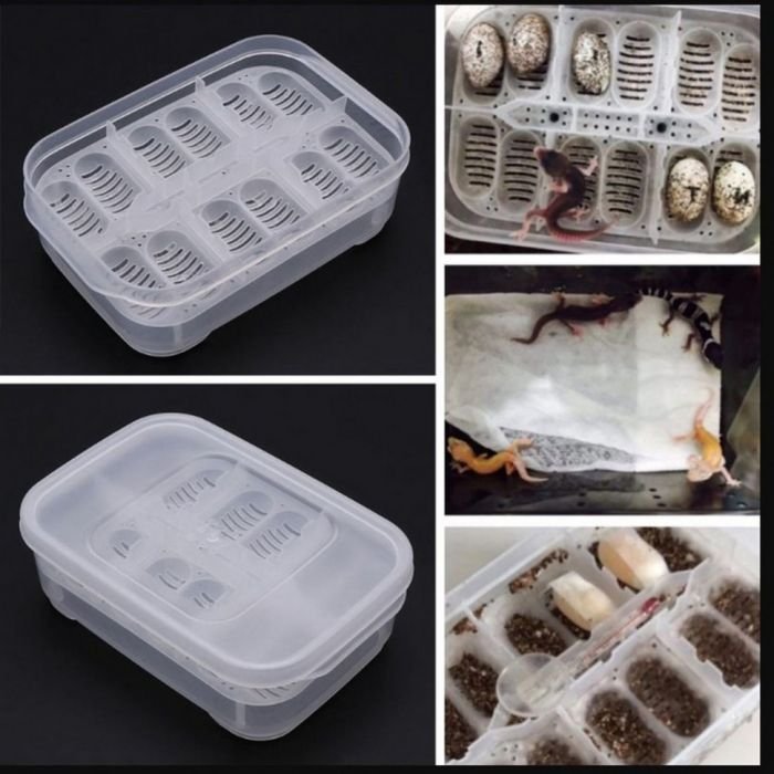 Інкубатор пластиковий на 12 яєць Terrario EggIncubator (Terrario-eggincubator)