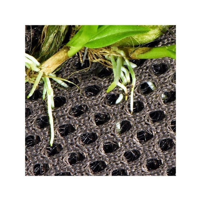 Бавовна з тропічних лісів Wacool Rainforest Plant Cotton M 29х29см (YZM003)
