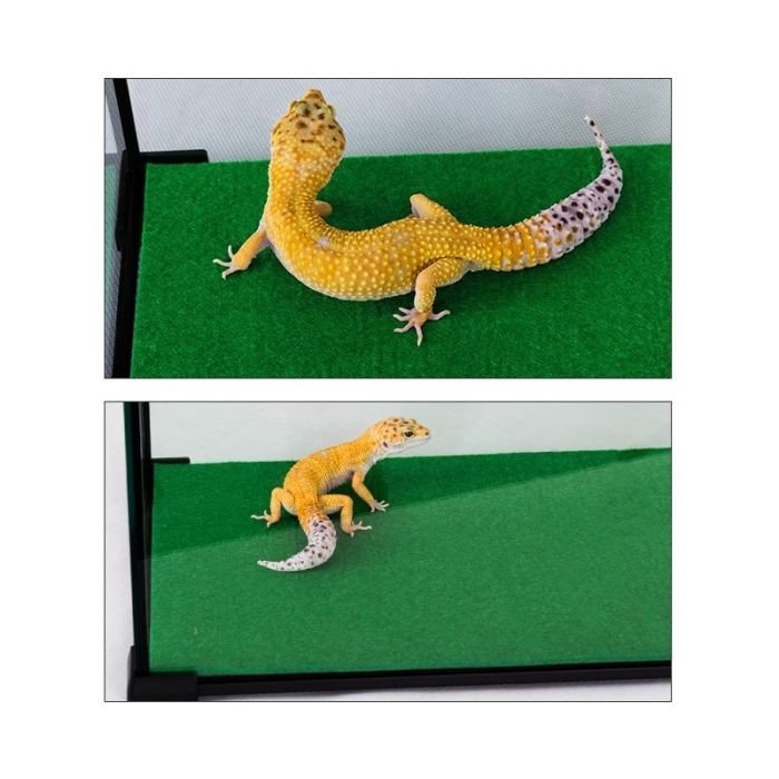 Килимок-субстрат Repti-Zoo Carpet Mat 50x30см (EC07)
