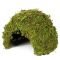 Схованка з моху Repti-Zoo Natural Mossy Dome M 14x10,5 (ERS25M)