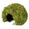 Схованка з моху Repti-Zoo Natural Mossy Dome S 11x10см (ERS25S)