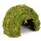 Схованка з моху Repti-Zoo Natural Mossy Dome S 11x10см (ERS25S)