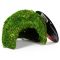 Схованка з моху Repti-Zoo Natural Mossy Dome S 11x10см (ERS25S)