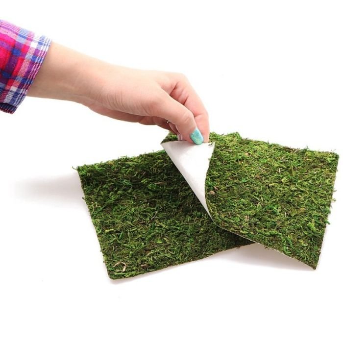 Фон моховий Repti-Zoo Natural Moss Back & Bottom 20x20см 2шт. (NCM2020)