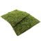Фон моховий Repti-Zoo Natural Moss Back & Bottom 20x20см 2шт. (NCM2020)